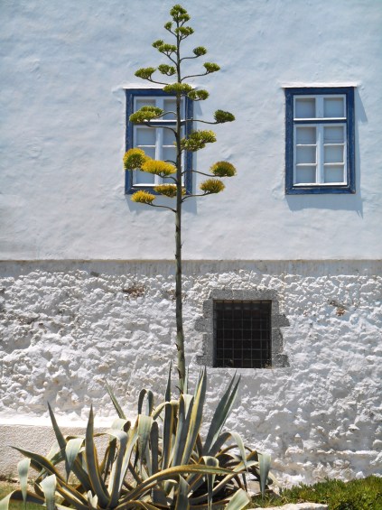 Agios Nicholas_Spetses