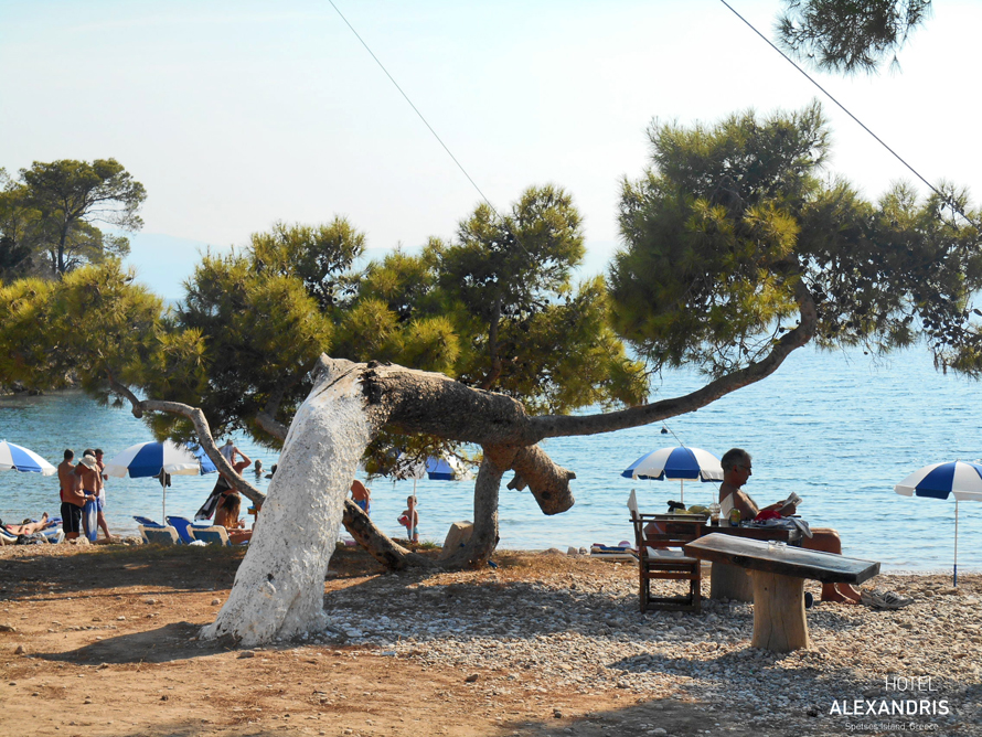 relaxing_at_ag.Paraskevi